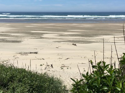 Big Stump Beach!