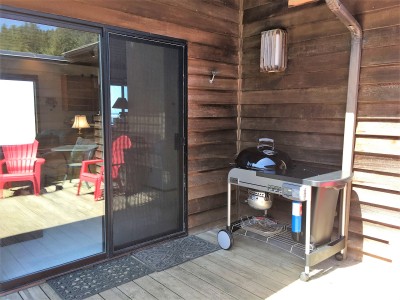 Sliding glass door off of Family Room  - BBQ